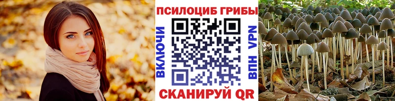 мега ссылки  Петропавловск-Камчатский  Галлюциногенные грибы GOLDEN TEACHER 