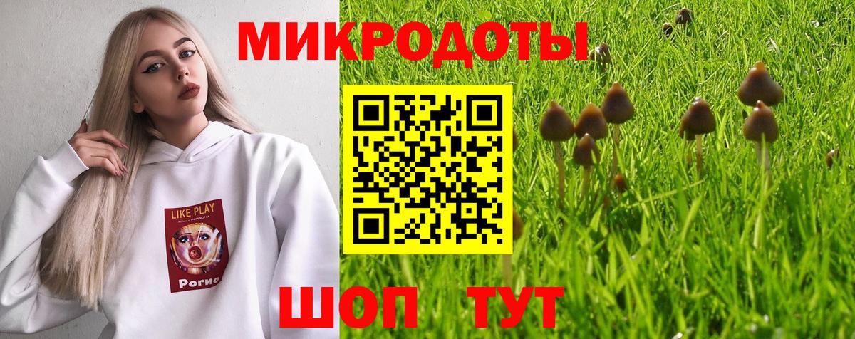 Псилоцибиновые грибы Cubensis  Вход с VPN  Петропавловск-Камчатский 